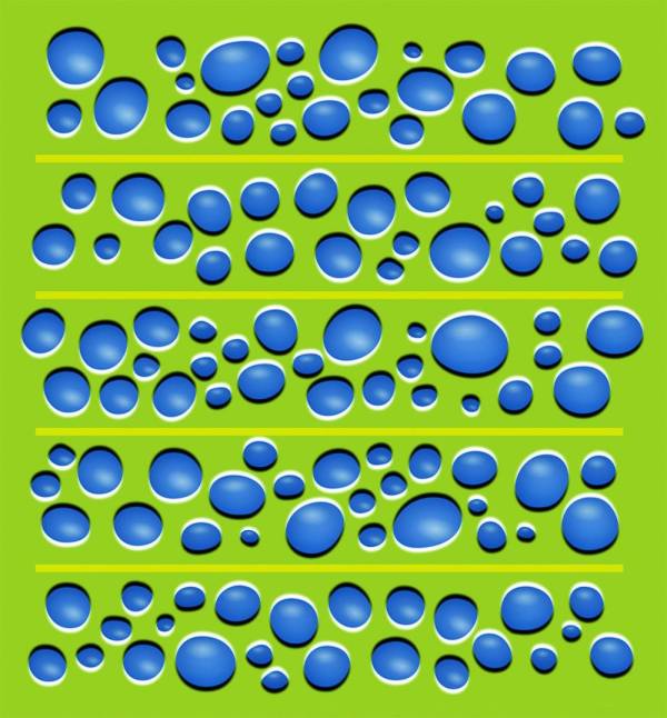 882935_10151728945846256_614649033_o