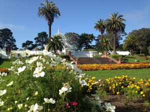 Golden Gate Park