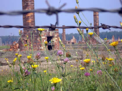 Auschwitz-Birkenau_Wikipedia-web