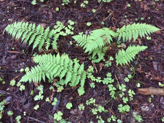 CC068EAF-993E-44D5-B974-3932613C7910