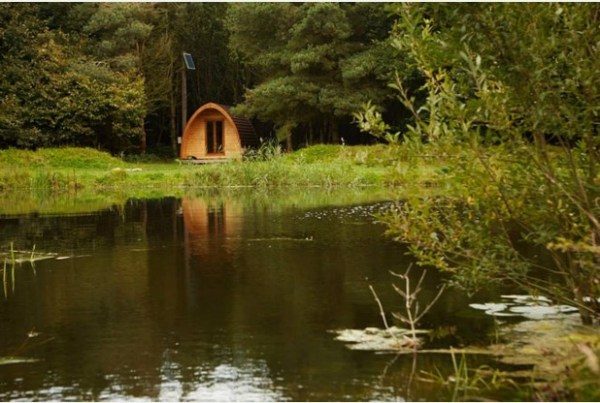 looking-across-the-lake-at-new-farm-towards-a-pod