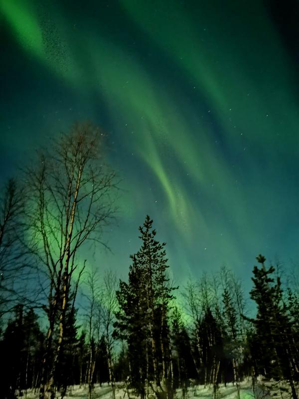 Northern Lights